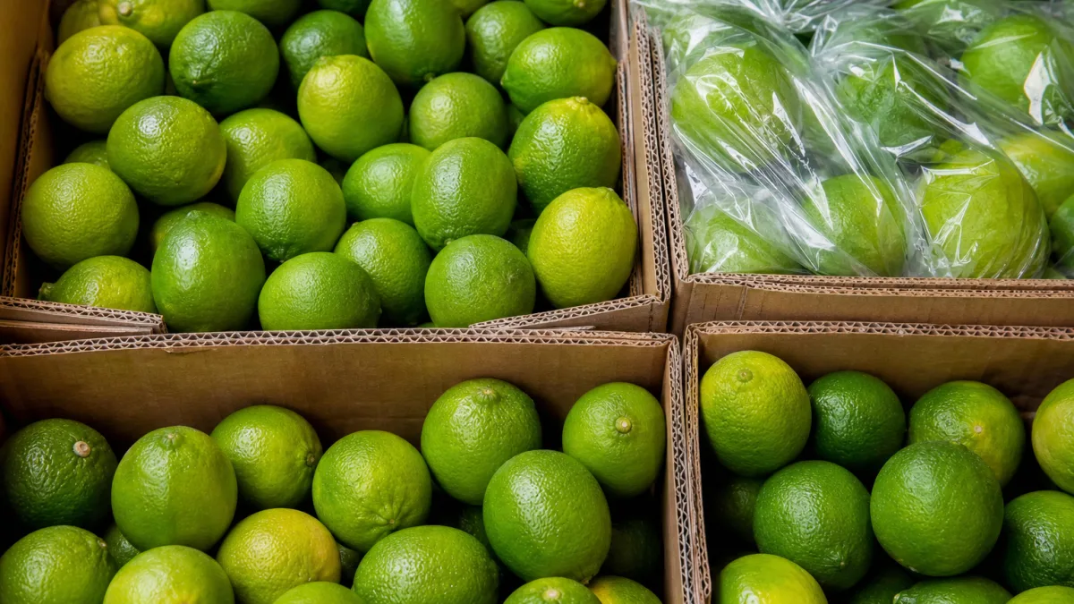قیمت لیمو ترش ۱۴۰۵ بر اساس شرایط استفاده خانگی و تجاری