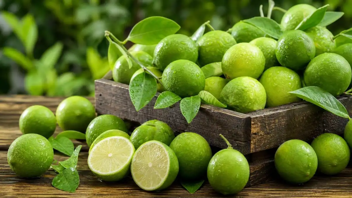قیمت لیمو ترش ۱۴۰۳